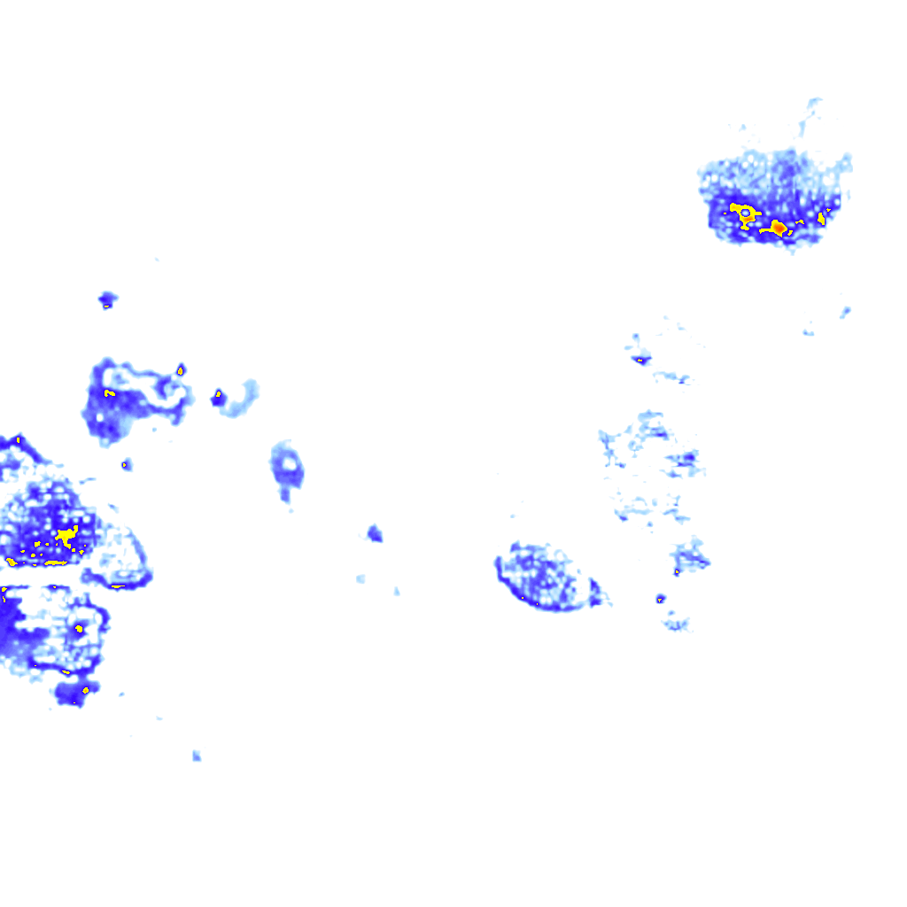 rainLayer