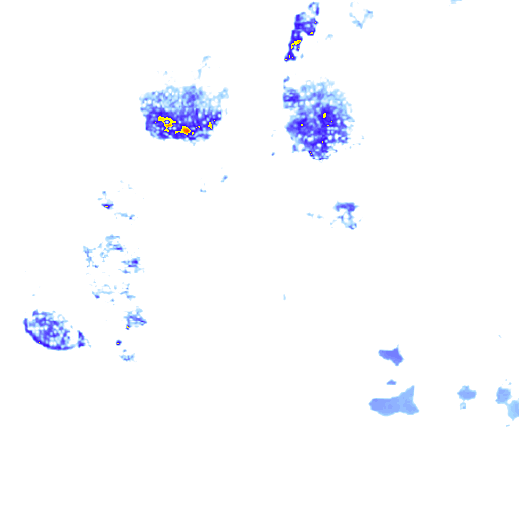 Image Layer