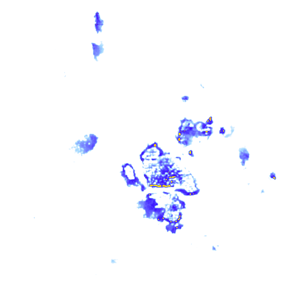 rainLayer