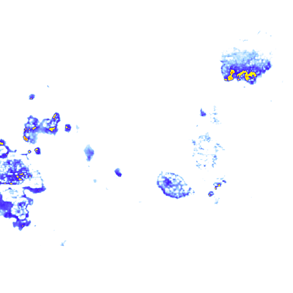 rainLayer