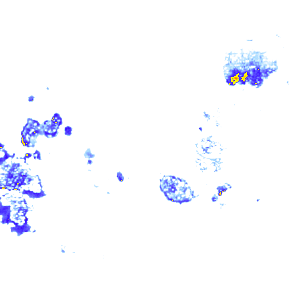 rainLayer