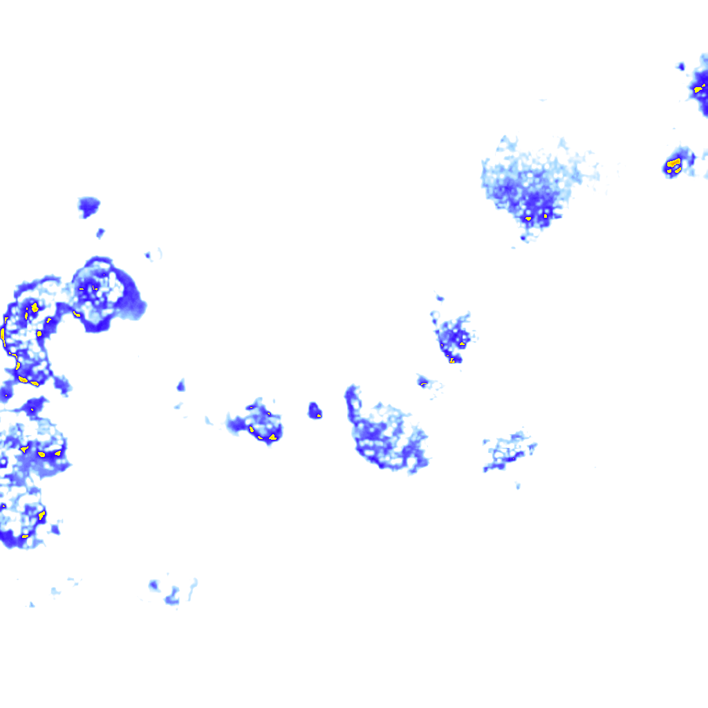 rainLayer