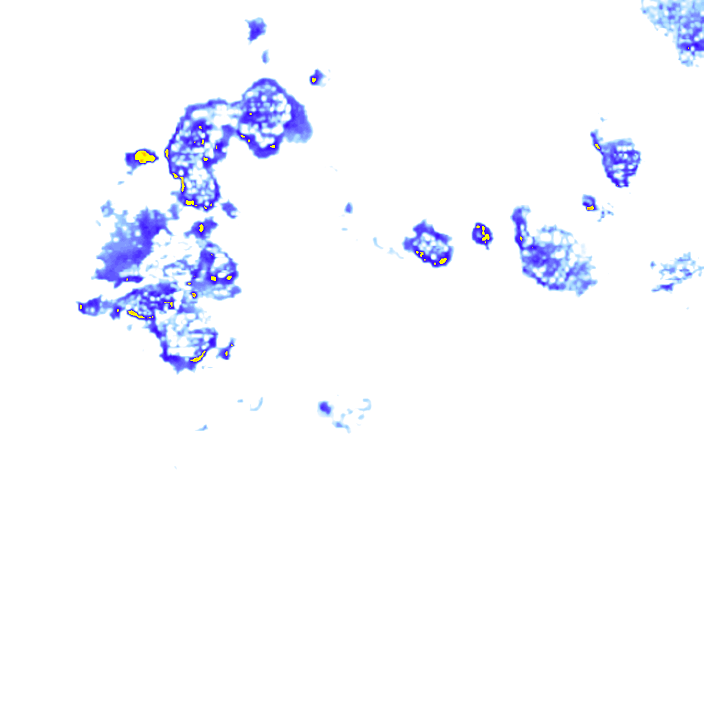 rainLayer
