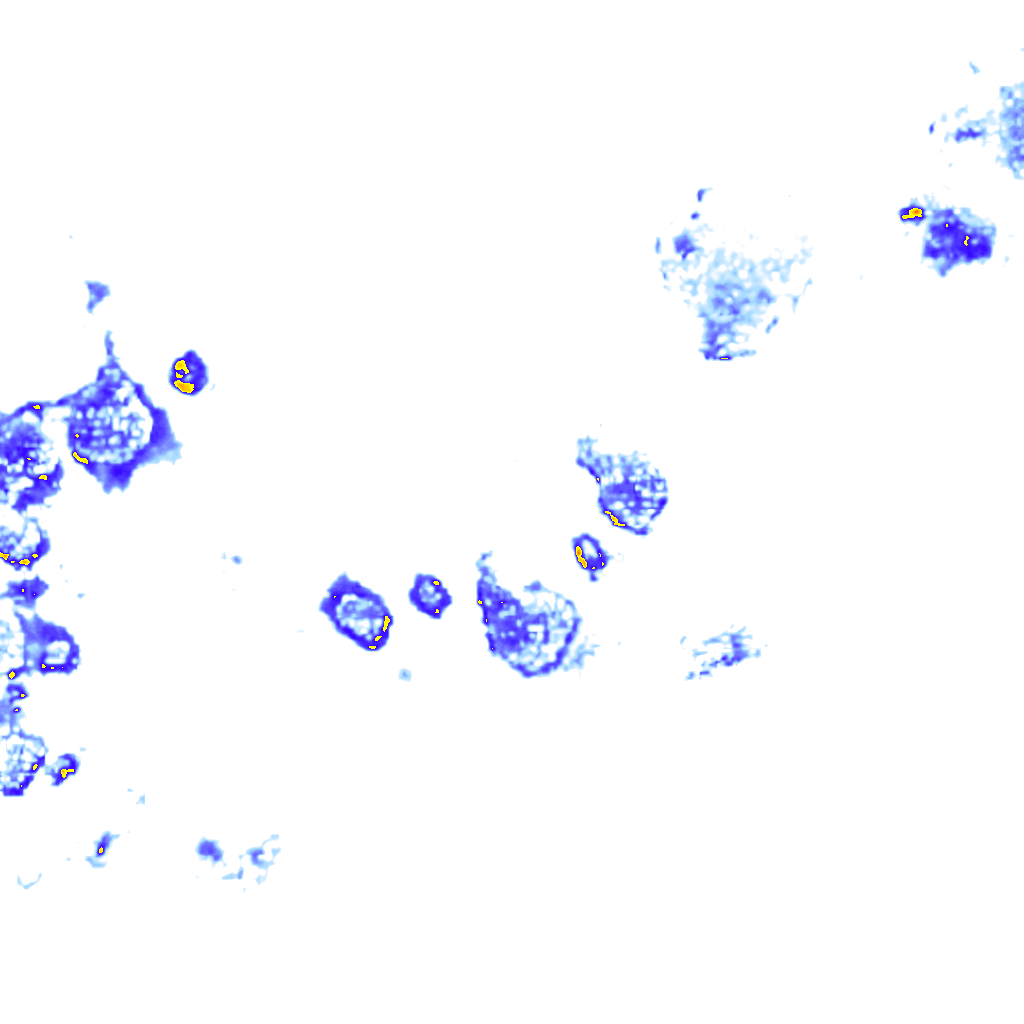 Image Layer