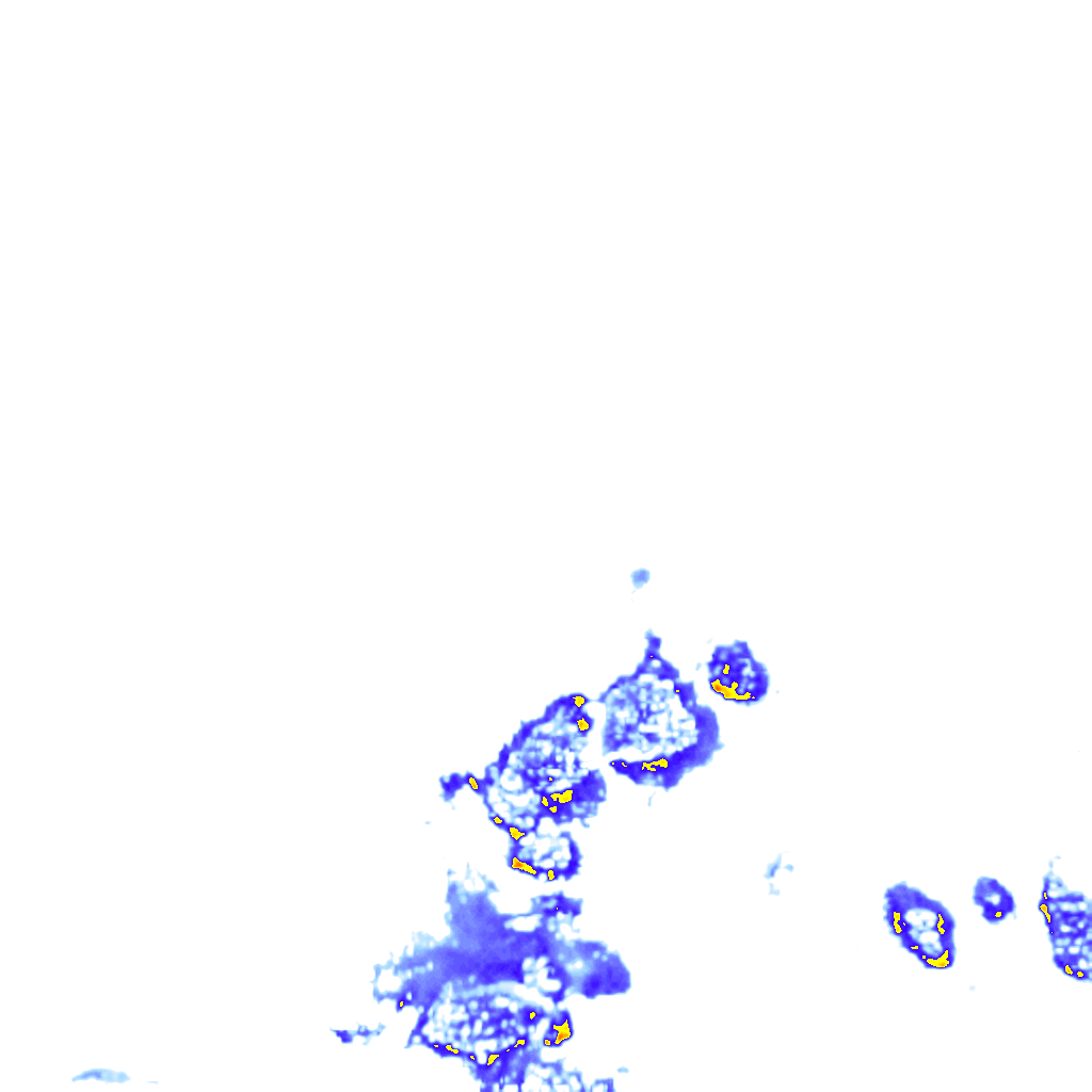 Image Layer