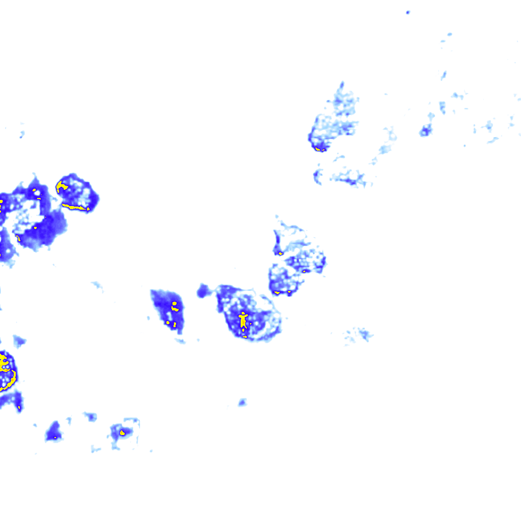 rainLayer