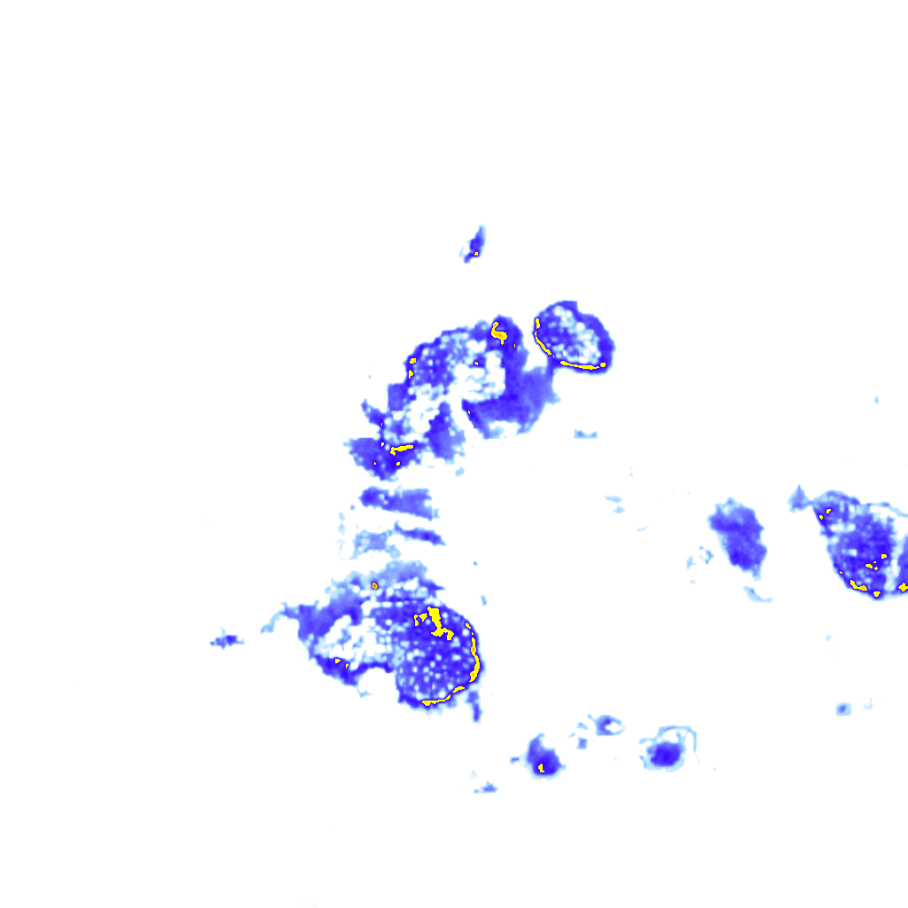 Image Layer