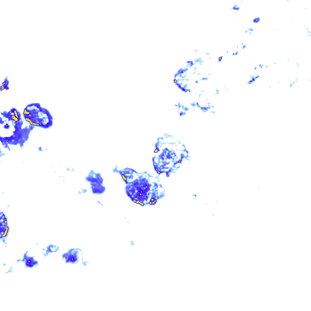Image Layer