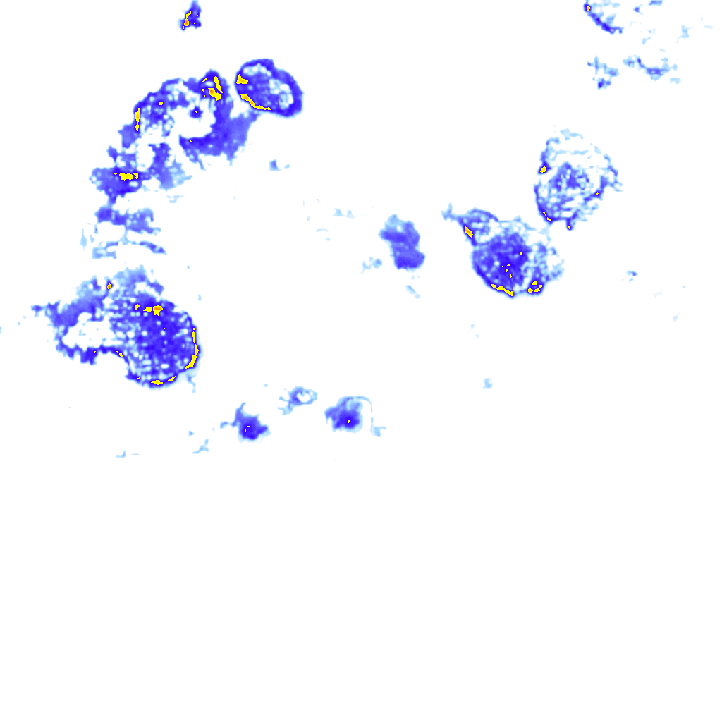 Image Layer