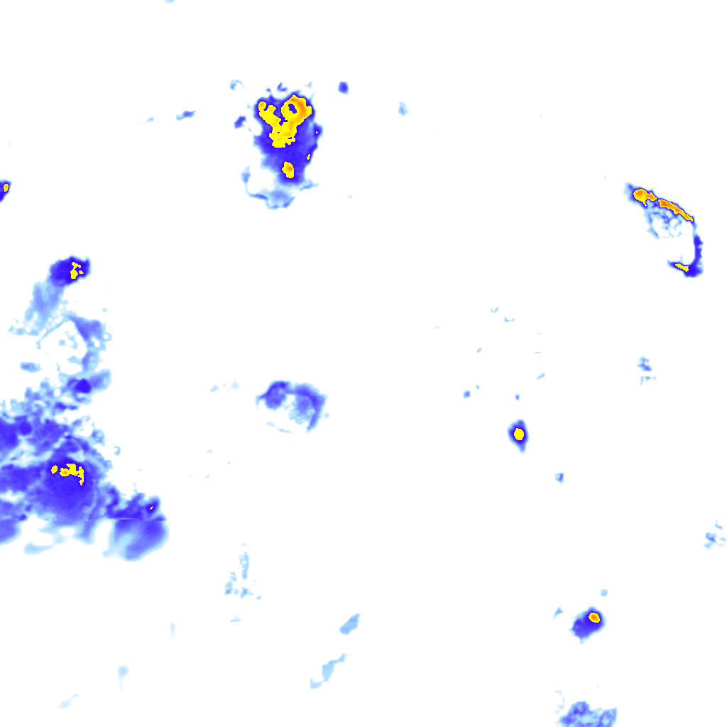 rainLayer