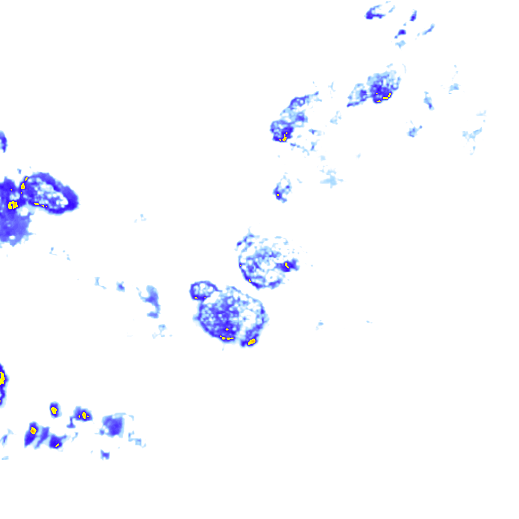 Image Layer