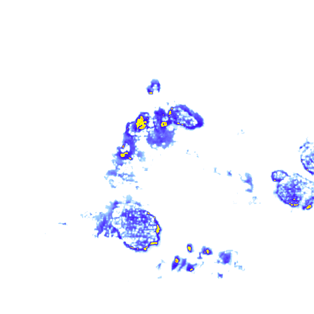 rainLayer