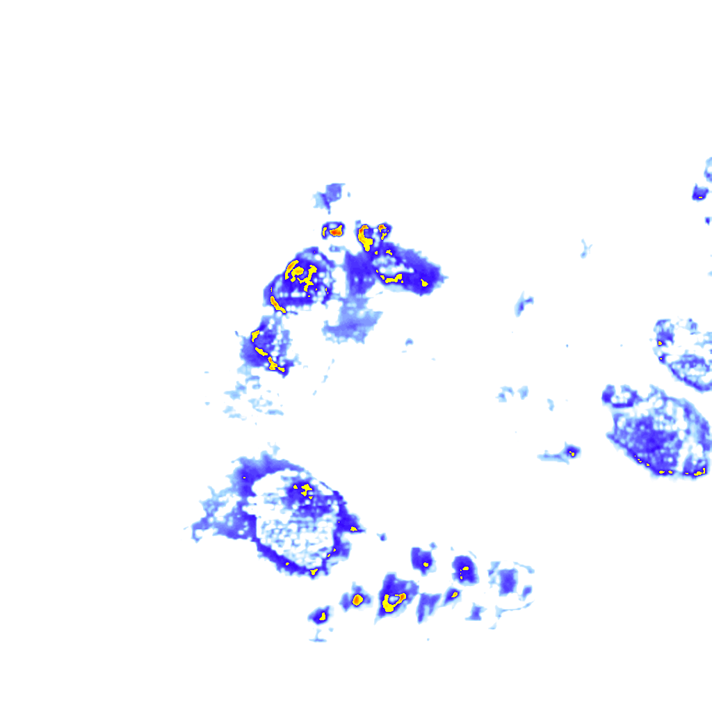 rainLayer