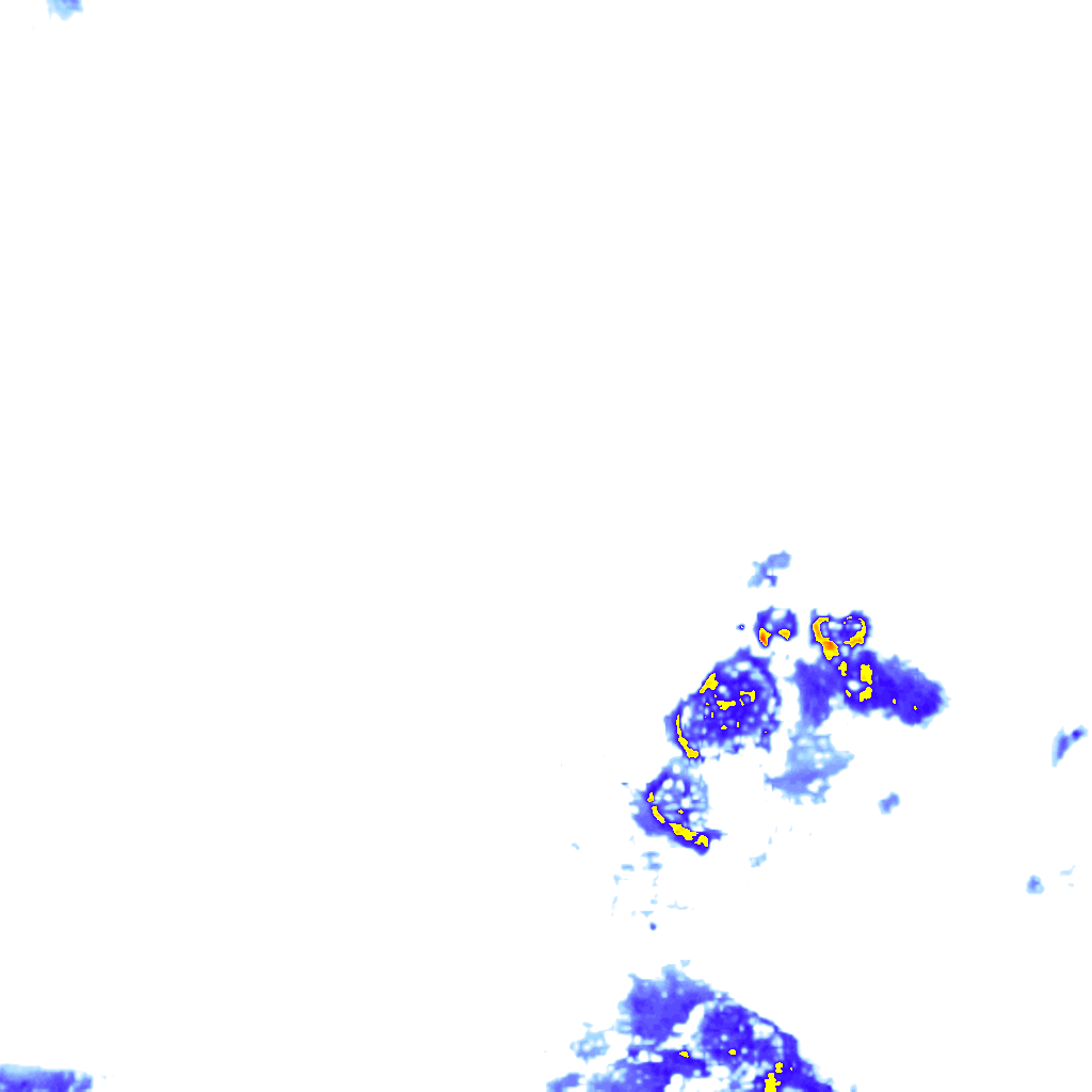rainLayer
