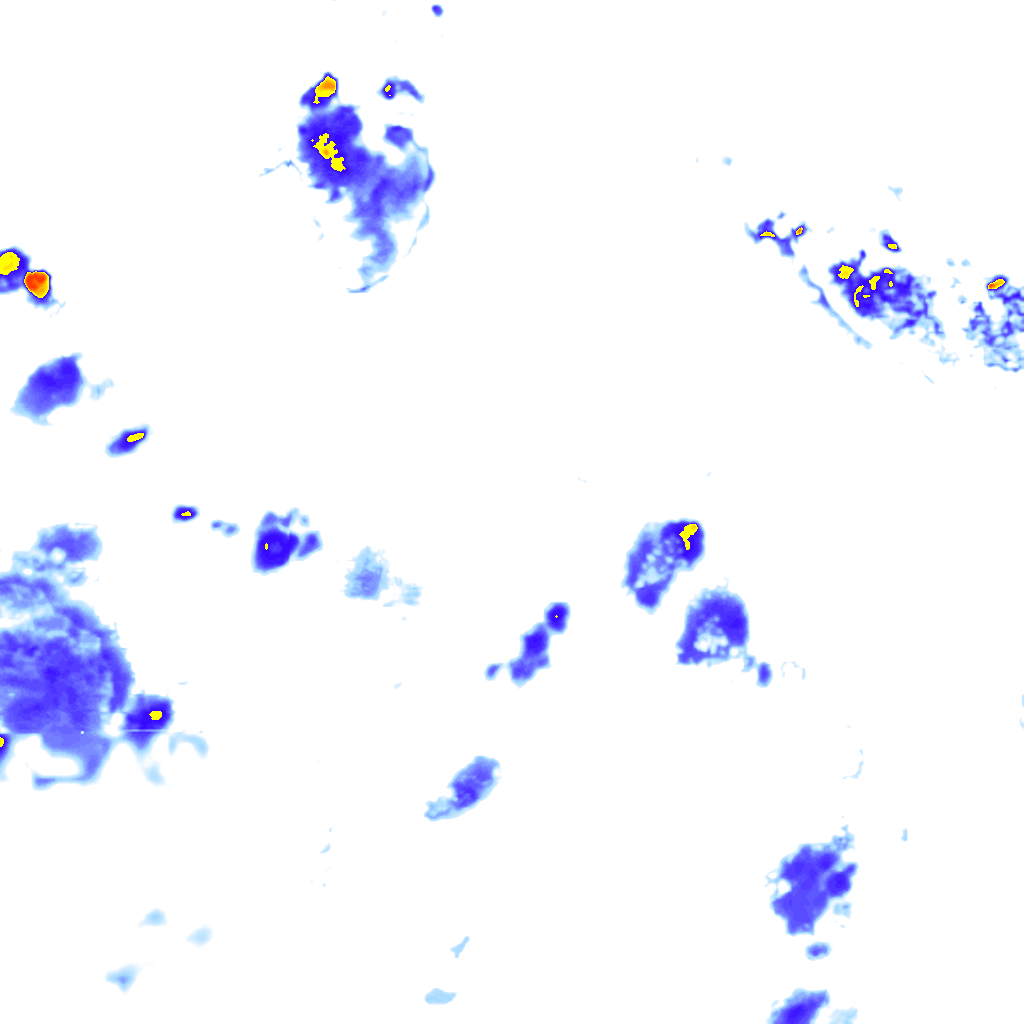 rainLayer