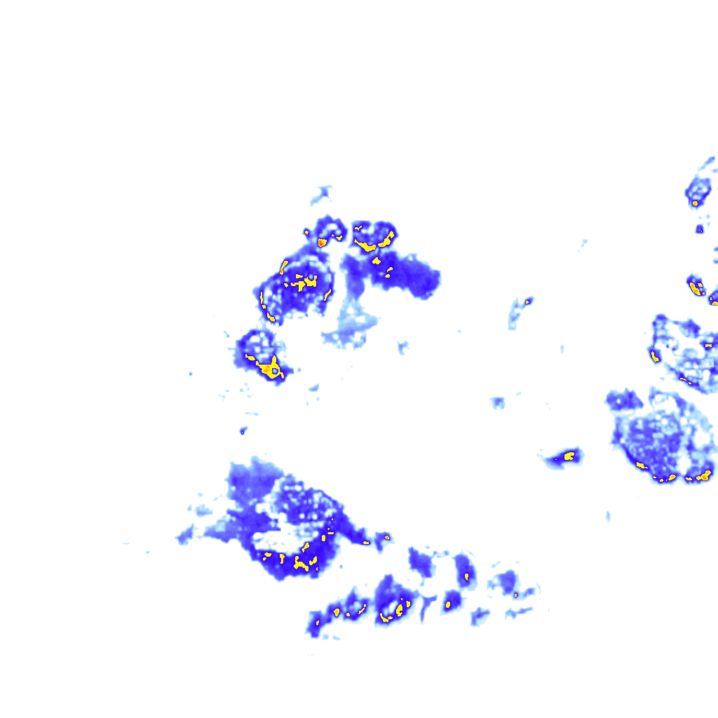 Image Layer