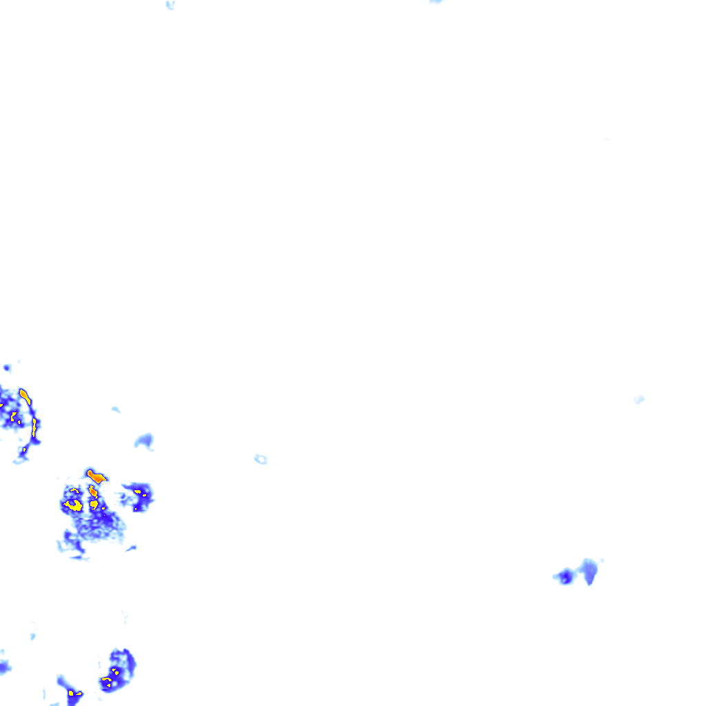 rainLayer