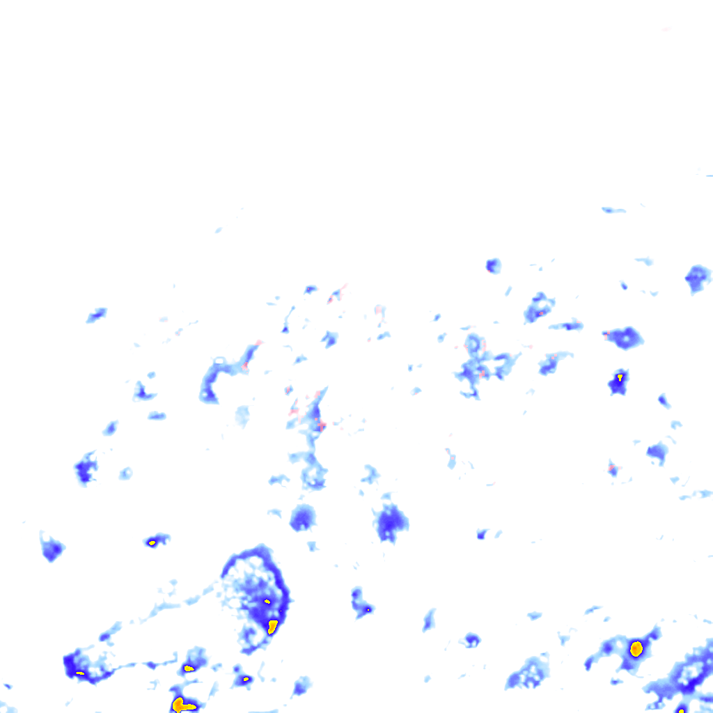 rainLayer