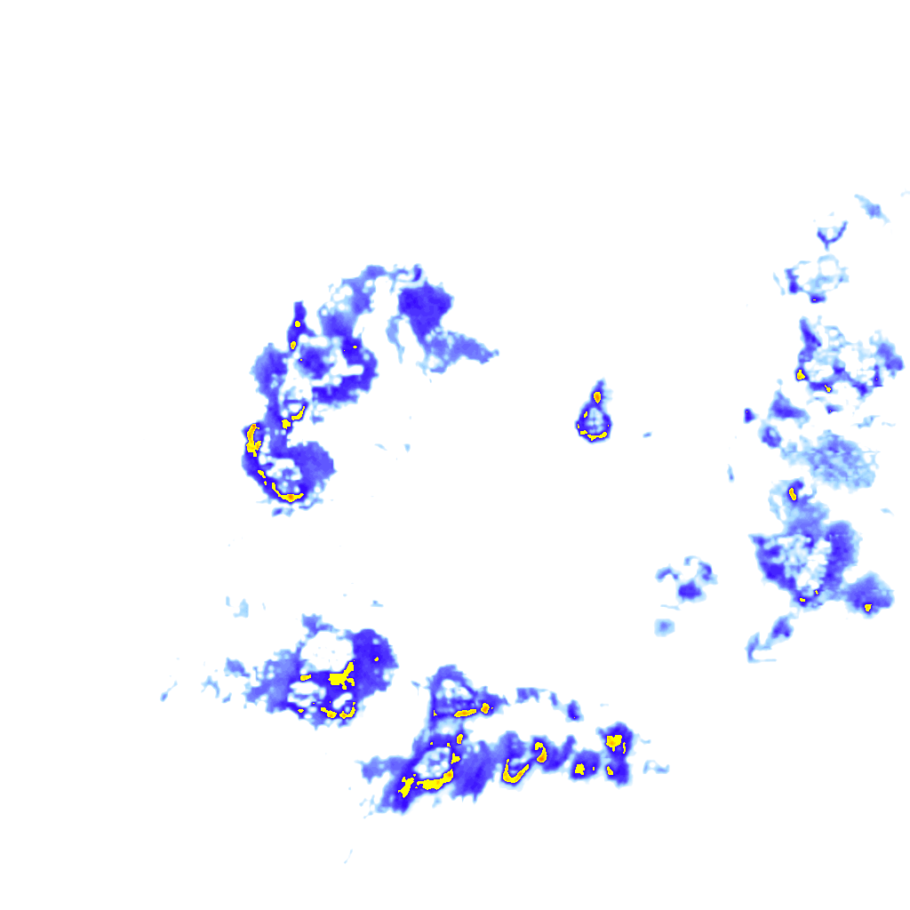 Image Layer