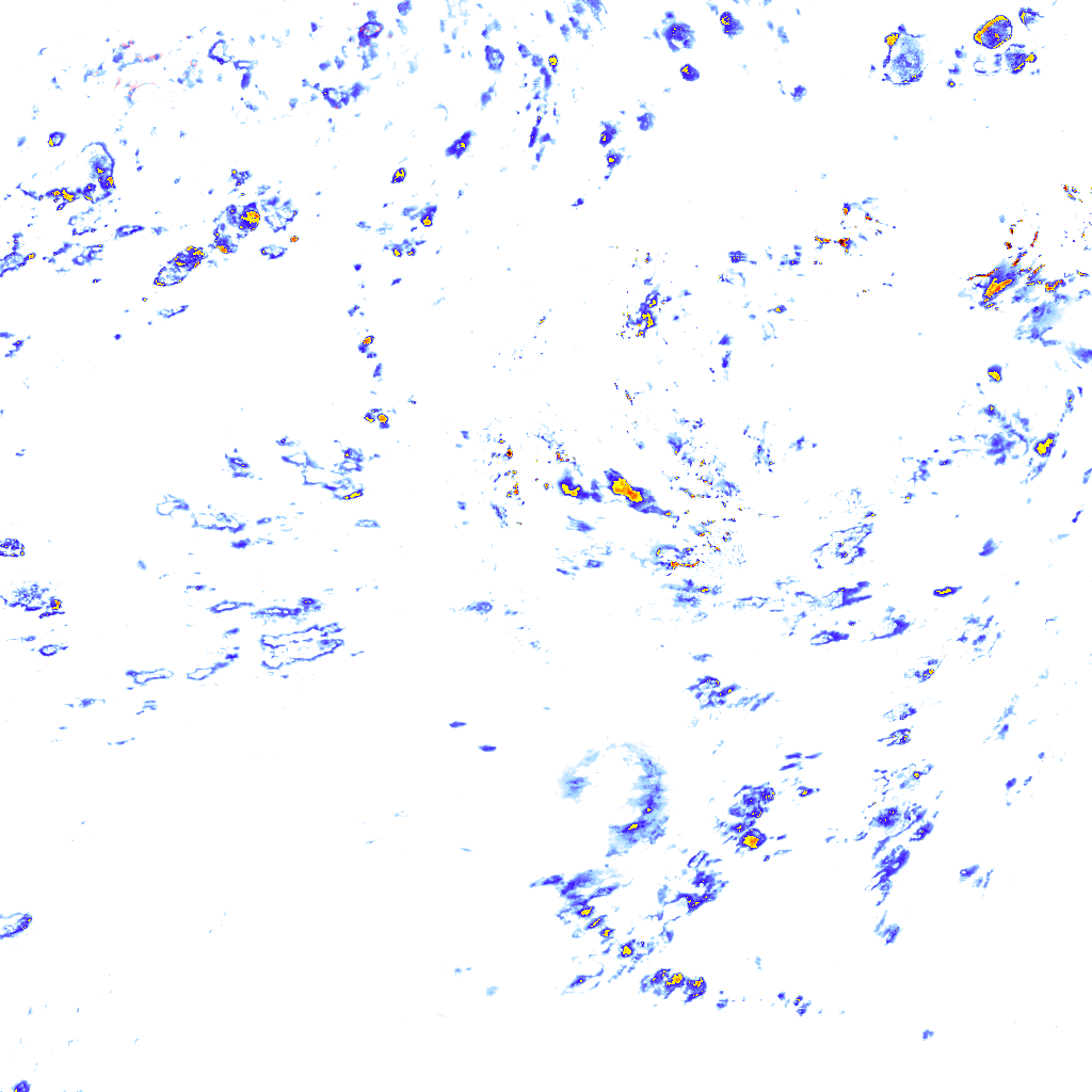 rainLayer