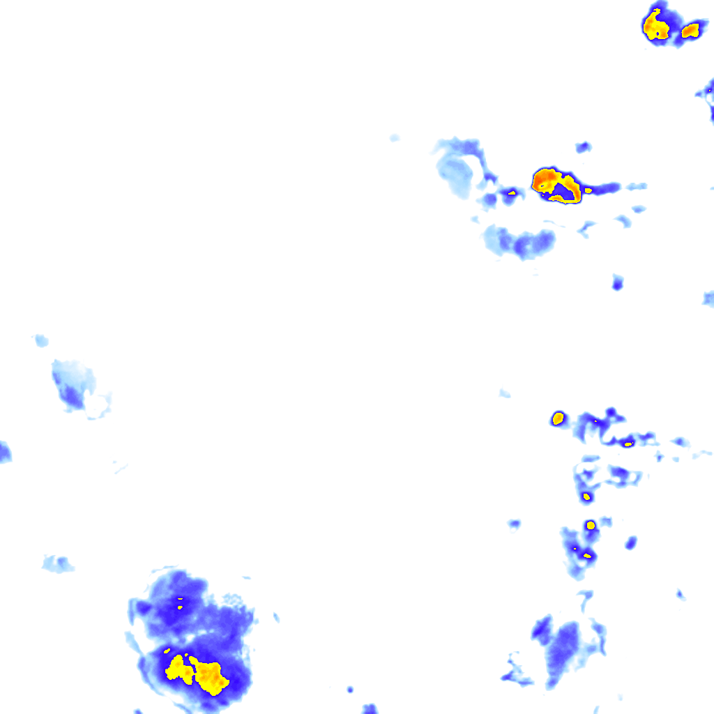 rainLayer