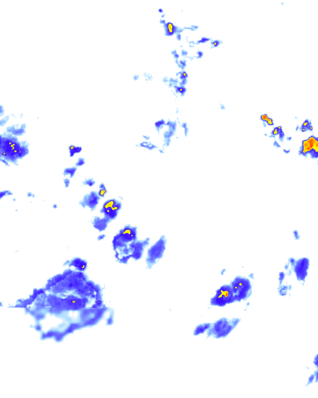 rainLayer