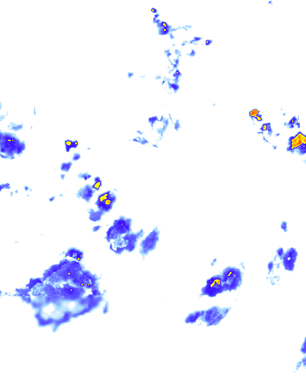 rainLayer