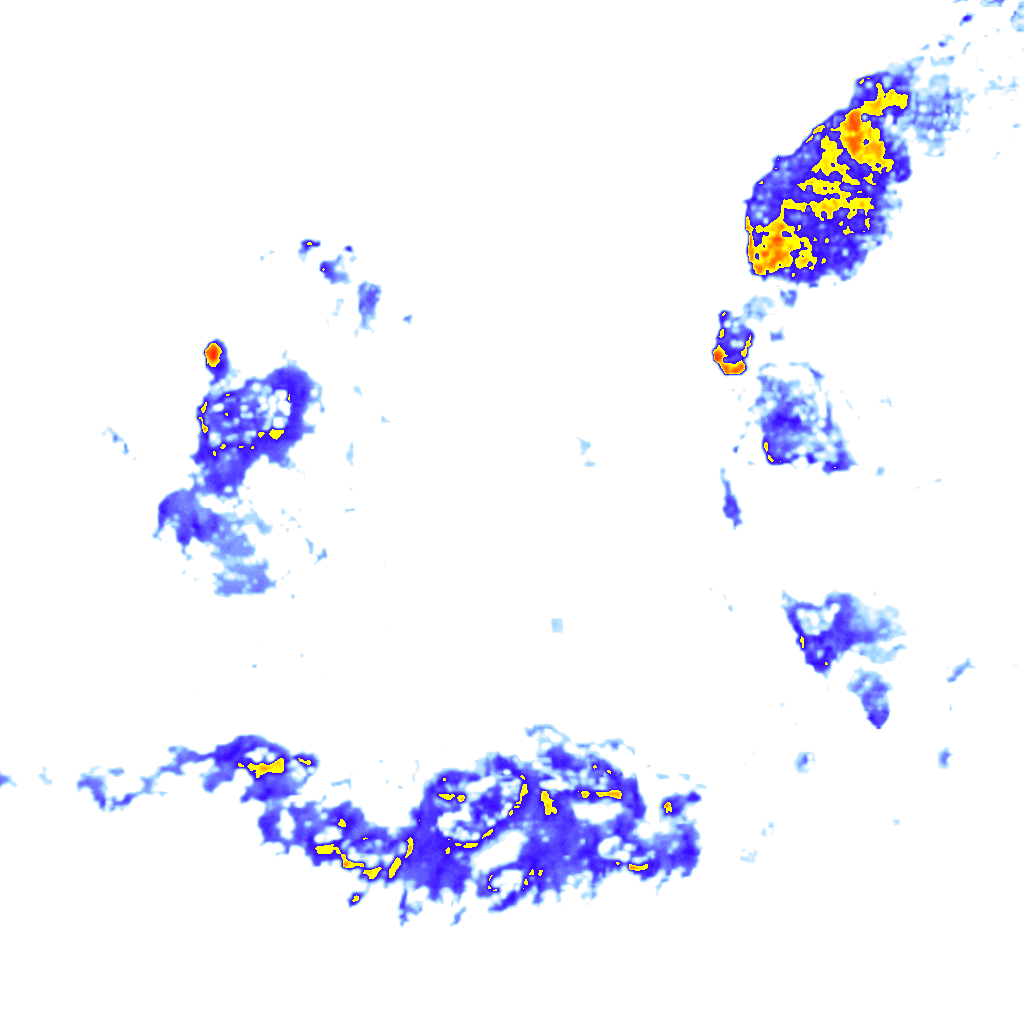 rainLayer