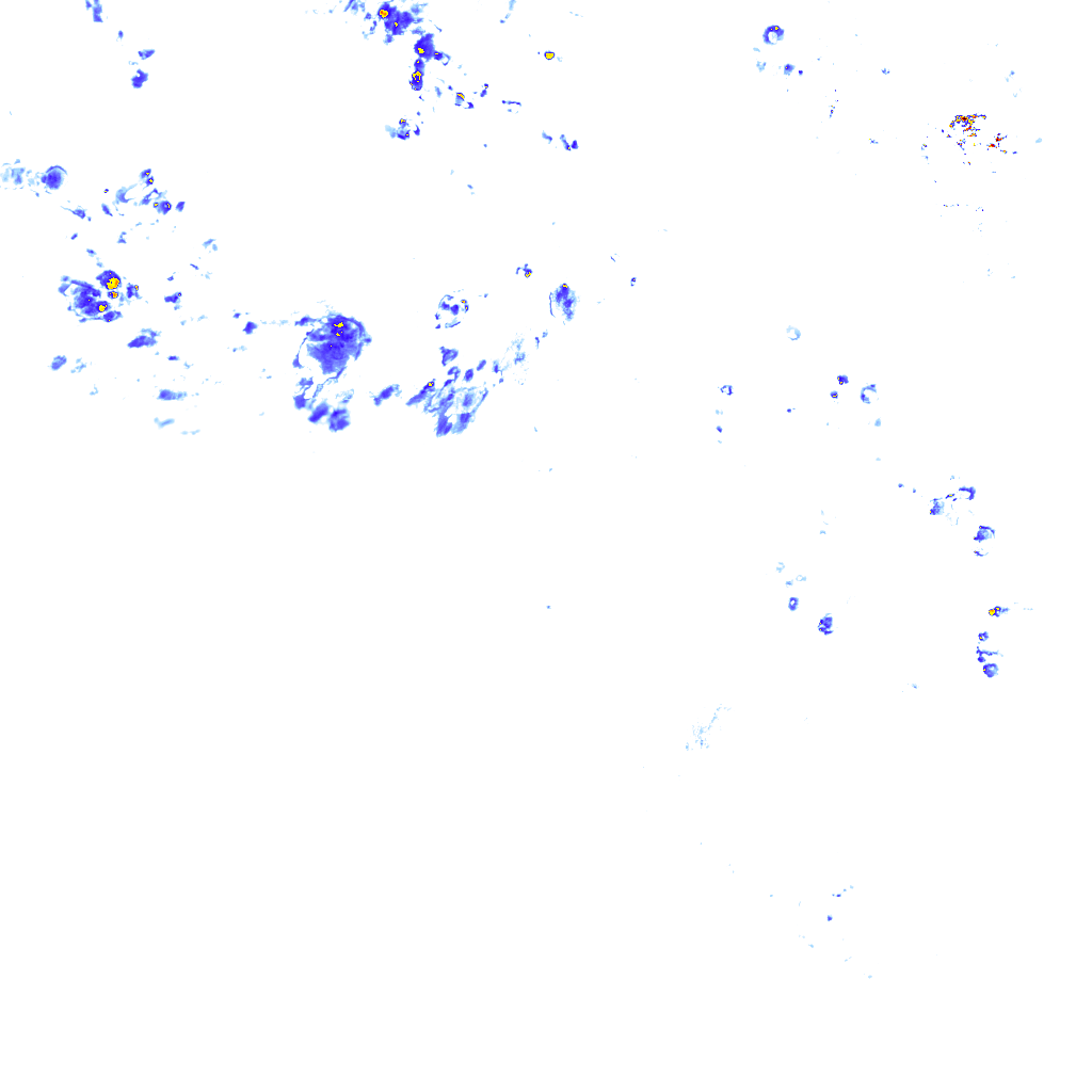 rainLayer