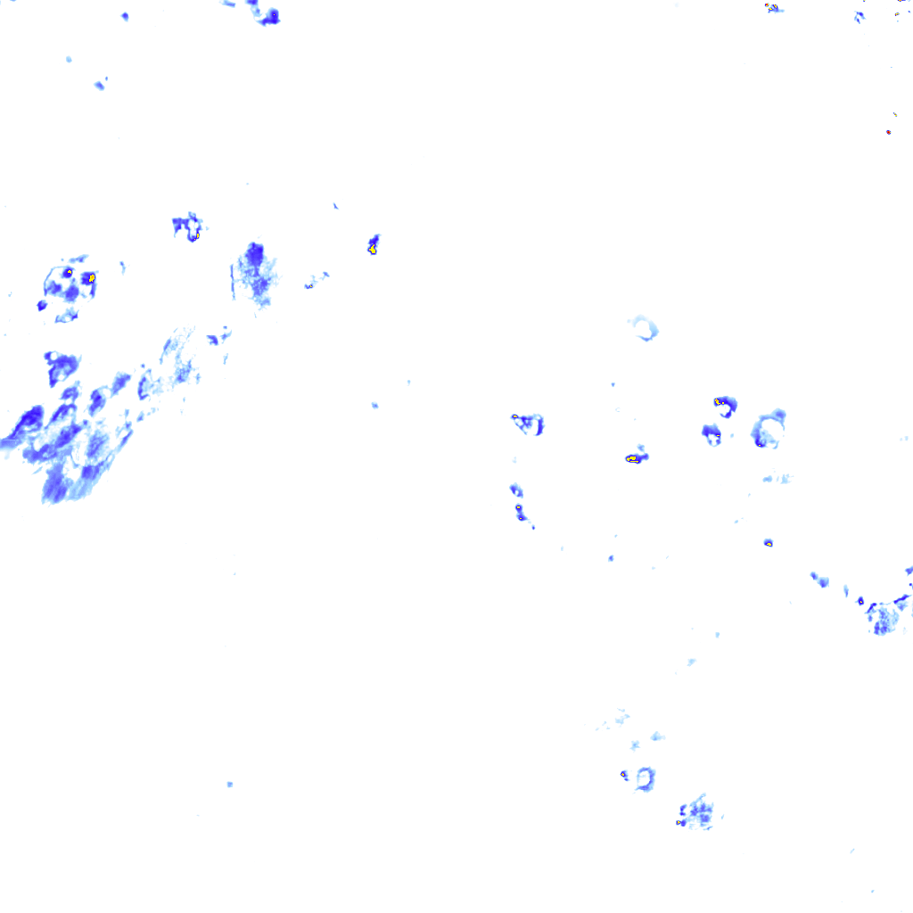 rainLayer