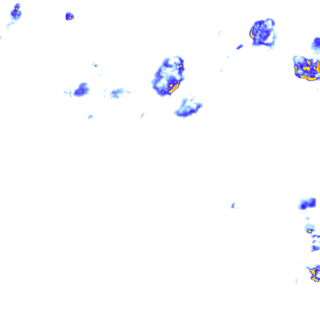 rainLayer
