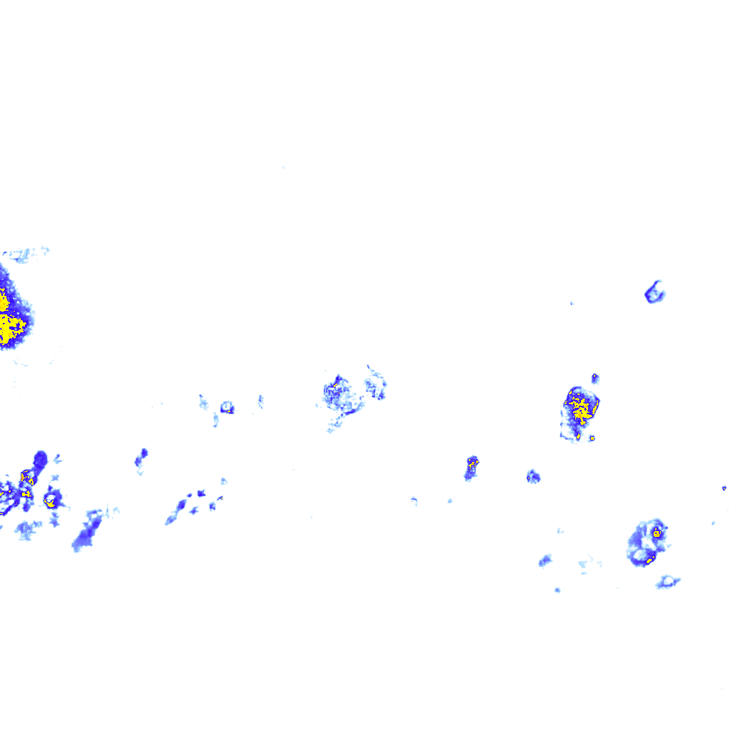rainLayer