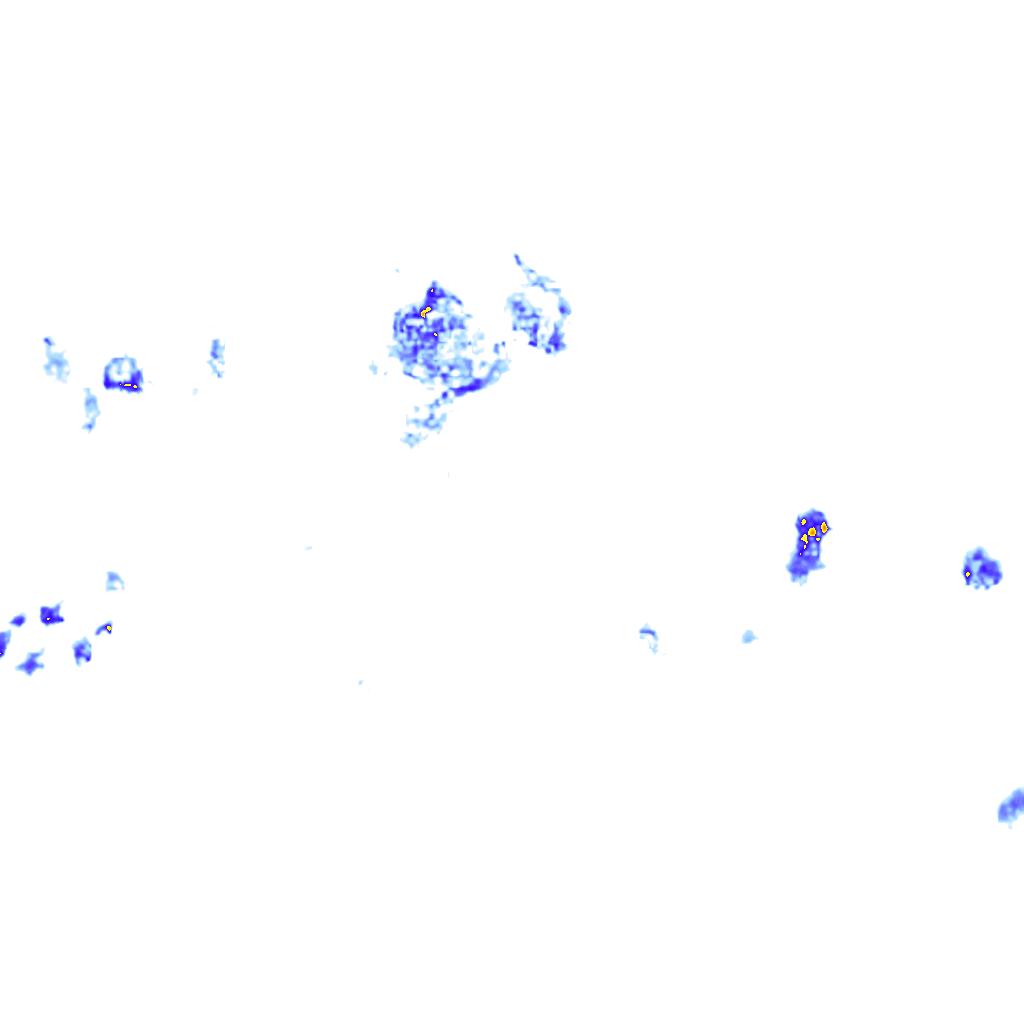 rainLayer
