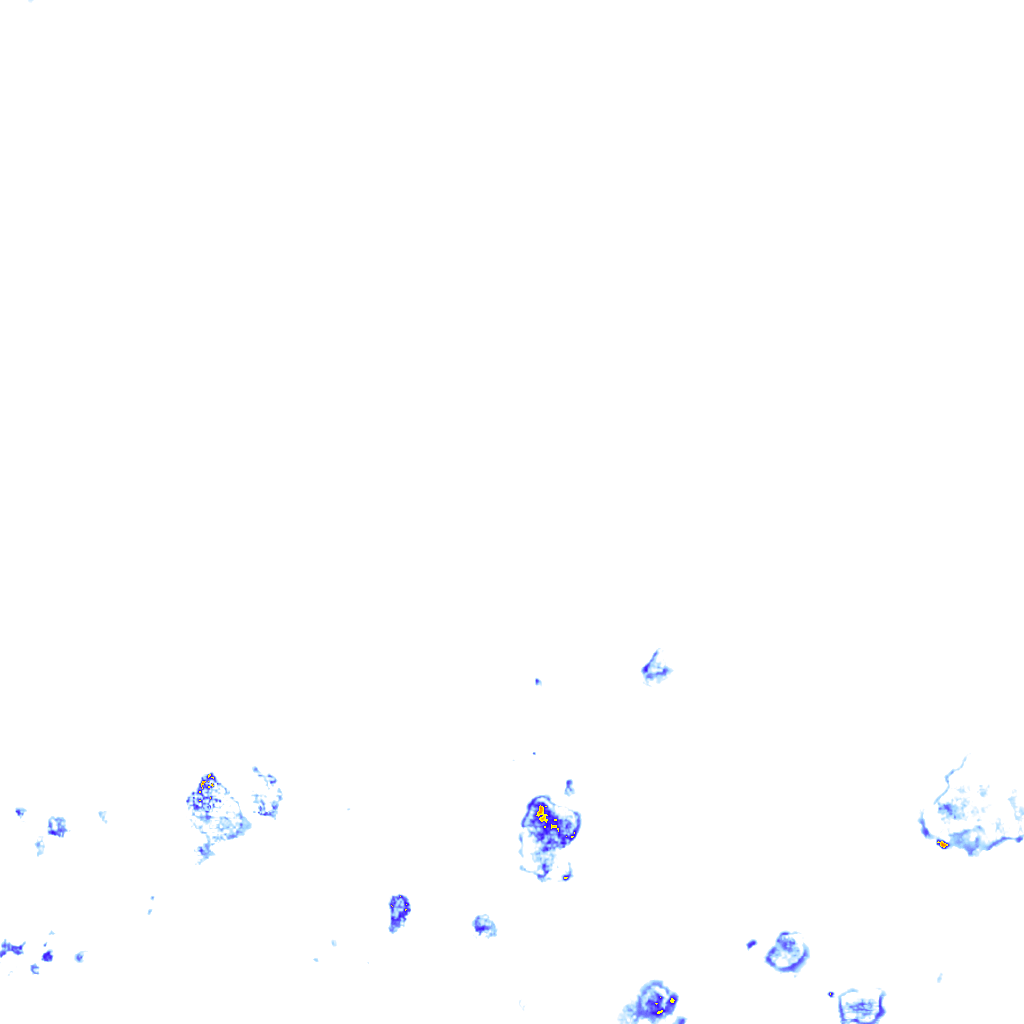 rainLayer