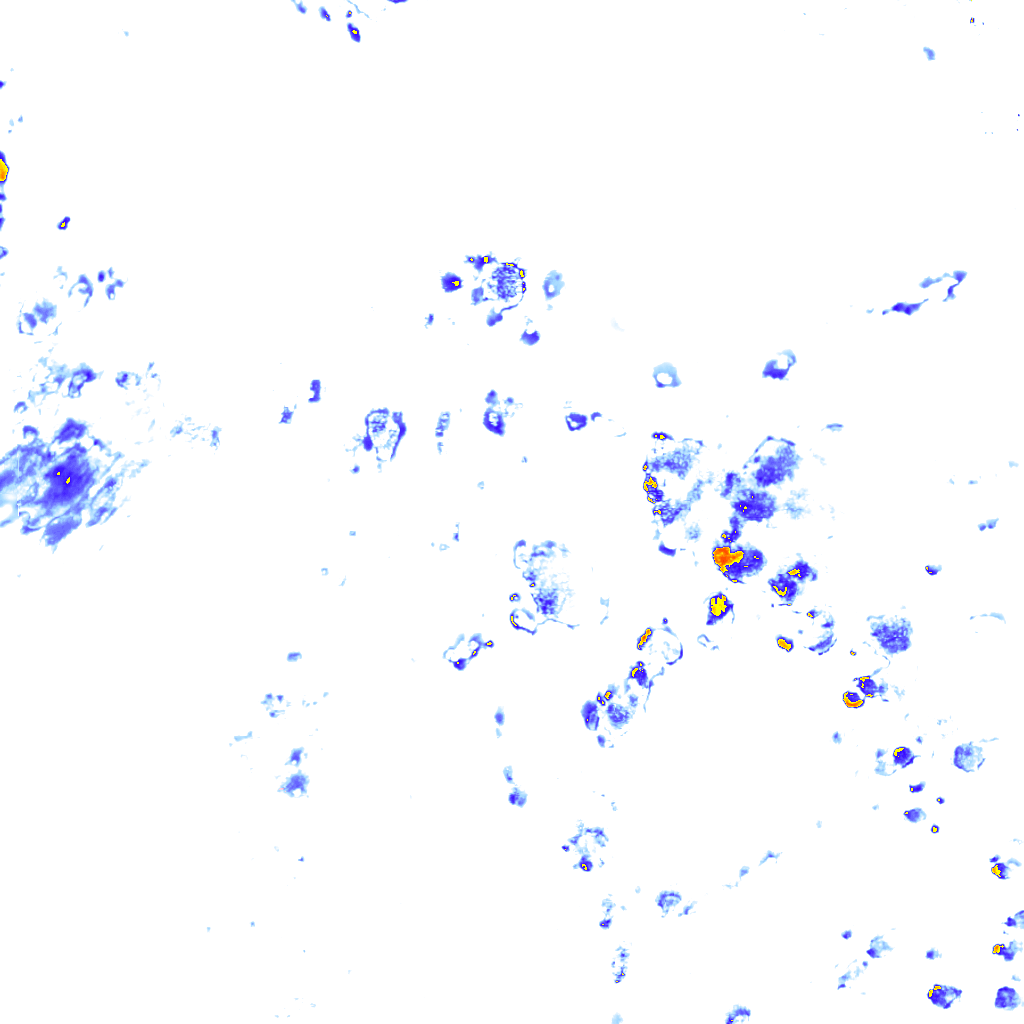 Image Layer