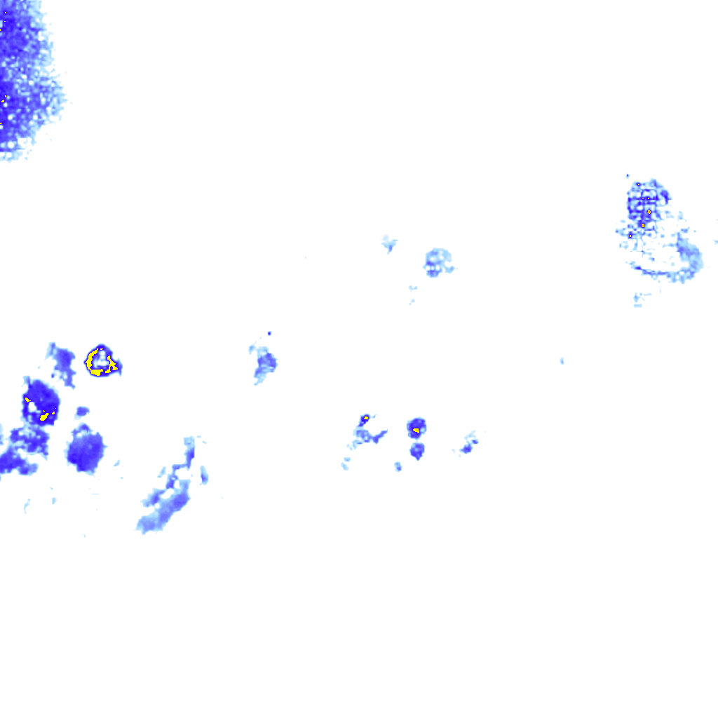 rainLayer