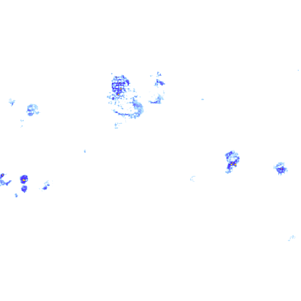 rainLayer