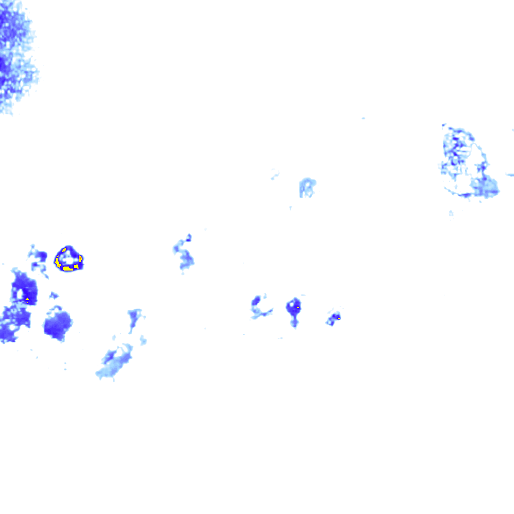 rainLayer