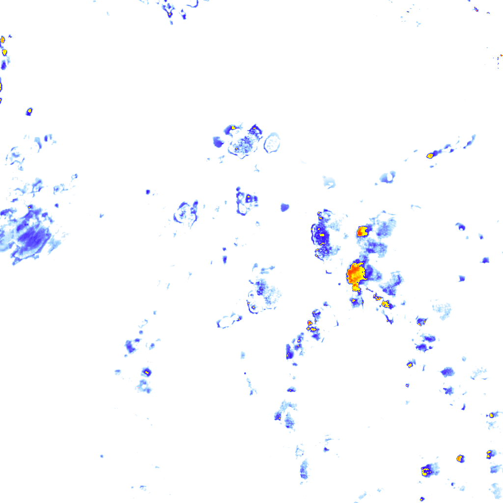 rainLayer