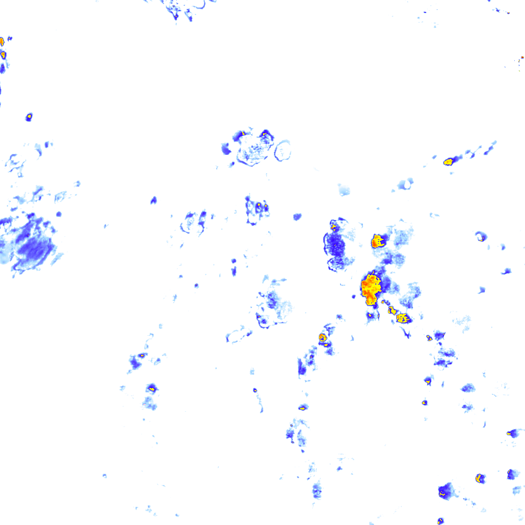 rainLayer