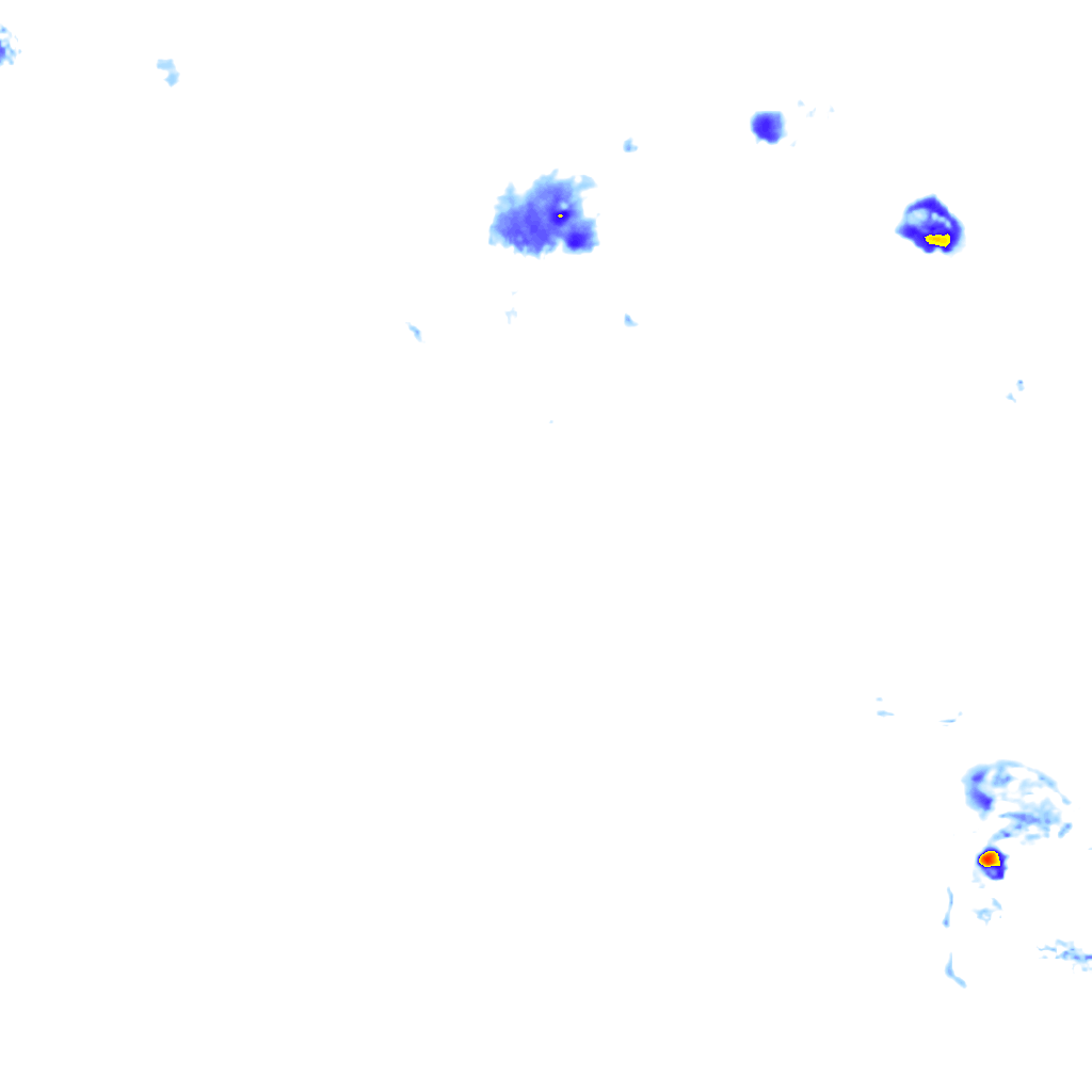 rainLayer