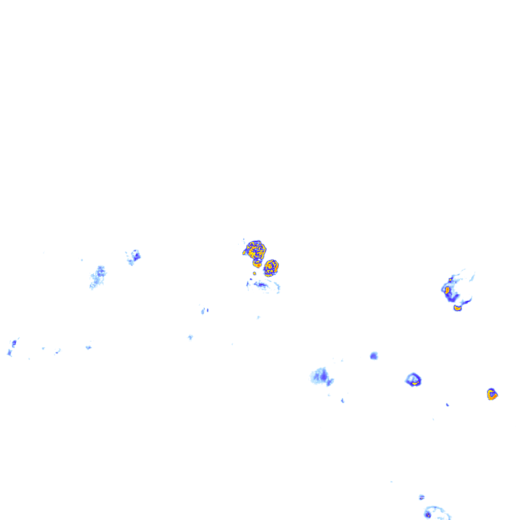 rainLayer