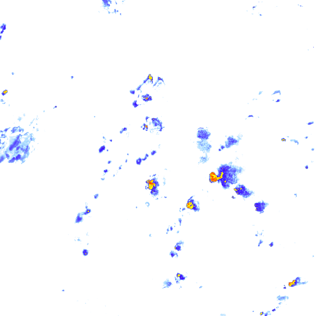 rainLayer