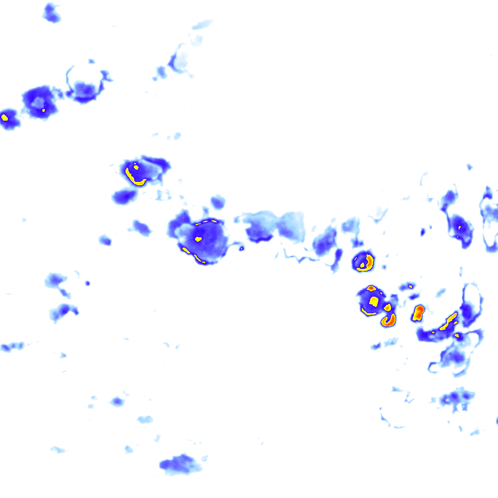 Image Layer