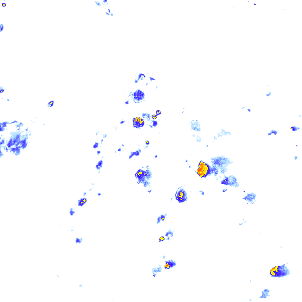 Image Layer