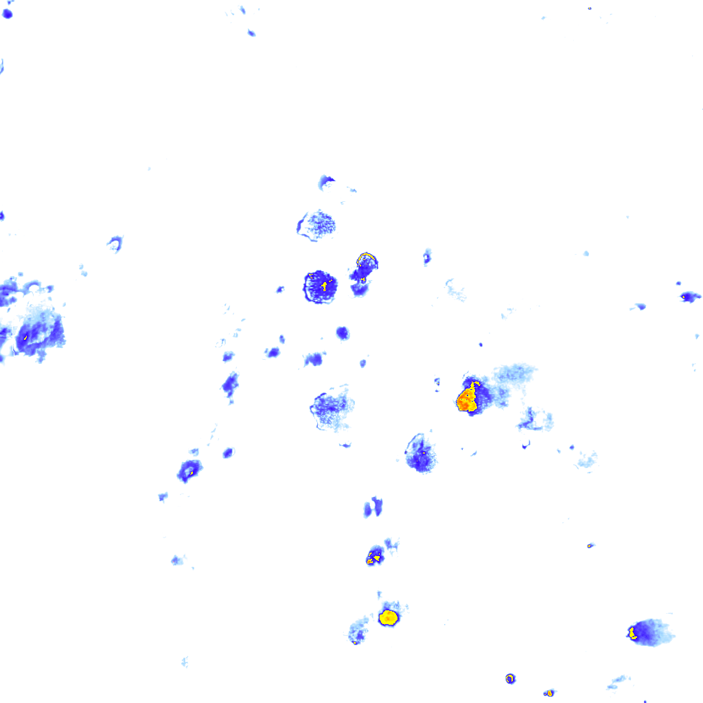 rainLayer