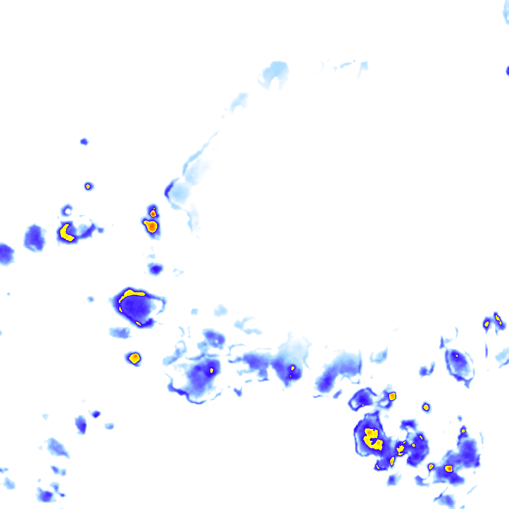 rainLayer