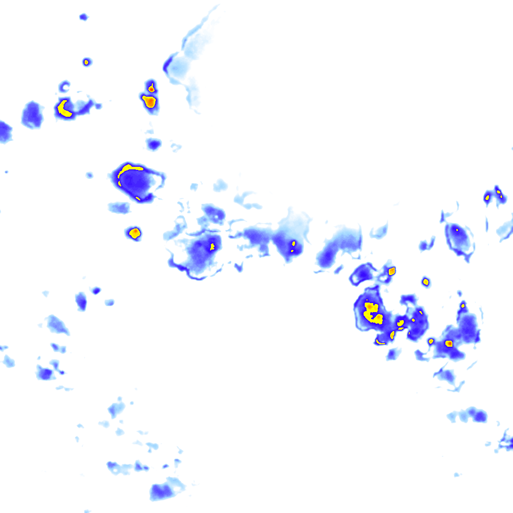 Image Layer