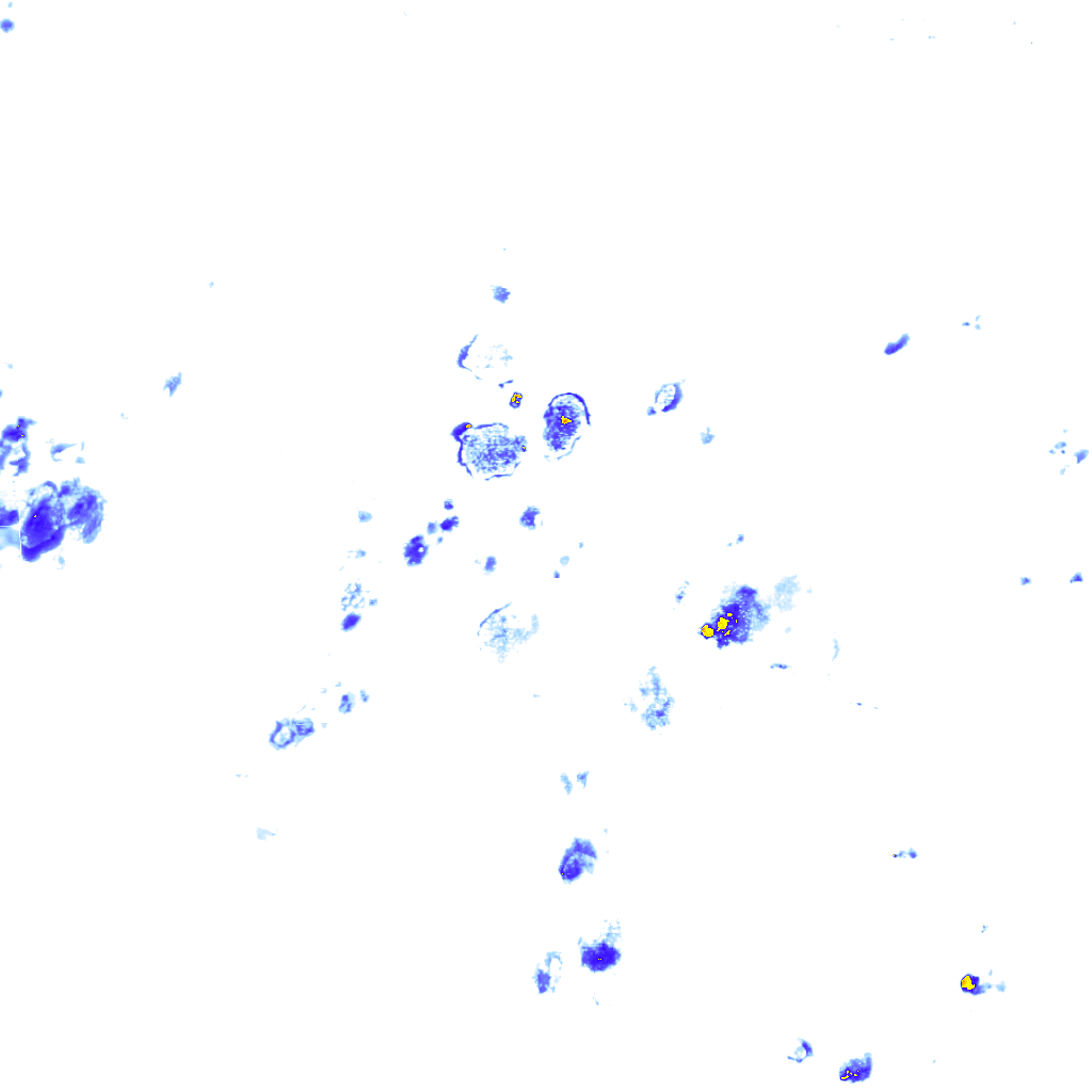 rainLayer