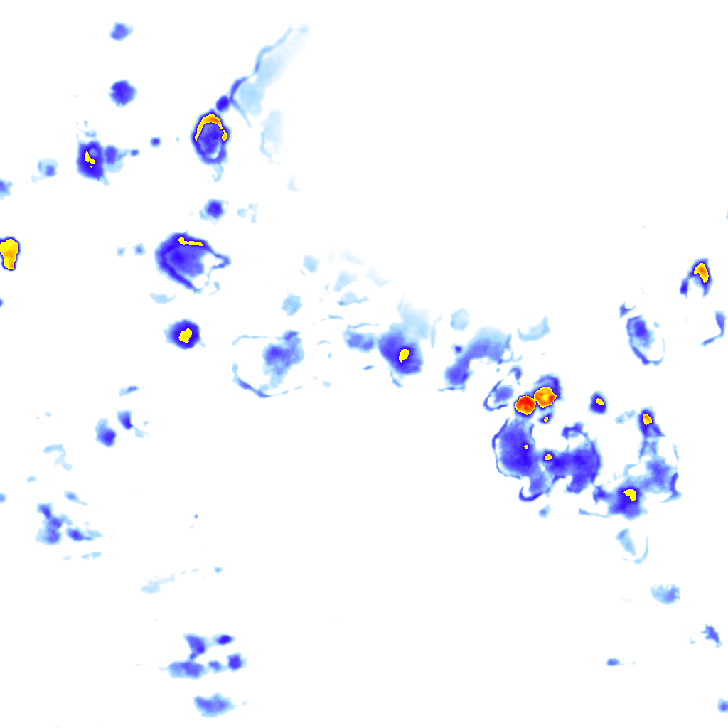 Image Layer